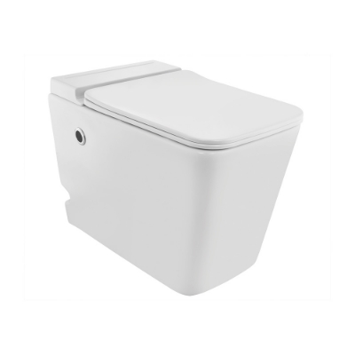 Picture of Tankless Single Piece WC