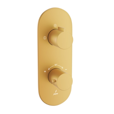 Picture of Aquamax ก๊อกผสมยืนอาบน้ำพร้อมวาล์วเปลี่ยนทิศทาง 2 ทาง - สีทองด้าน PVD