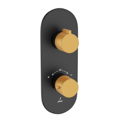 Picture of ก๊อกผสมยืนอาบน้ำอุณหภูมิ Aquamax - ก้านคันโยกสีทองด้านเนือ้ | พีวีดี ตัวสีทองด้าน